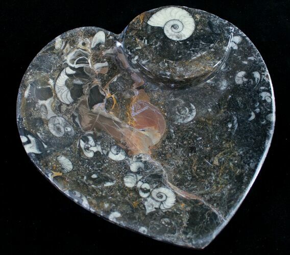 Heart Shaped Fossil Goniatite Dish #9003